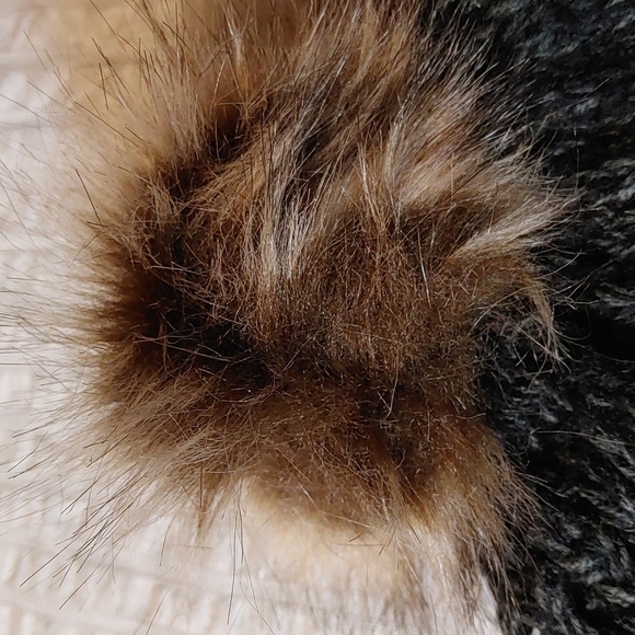 NWT Toronto Raptors Gray Knit Hat/Toque with Pompom - Picture 5 of 12